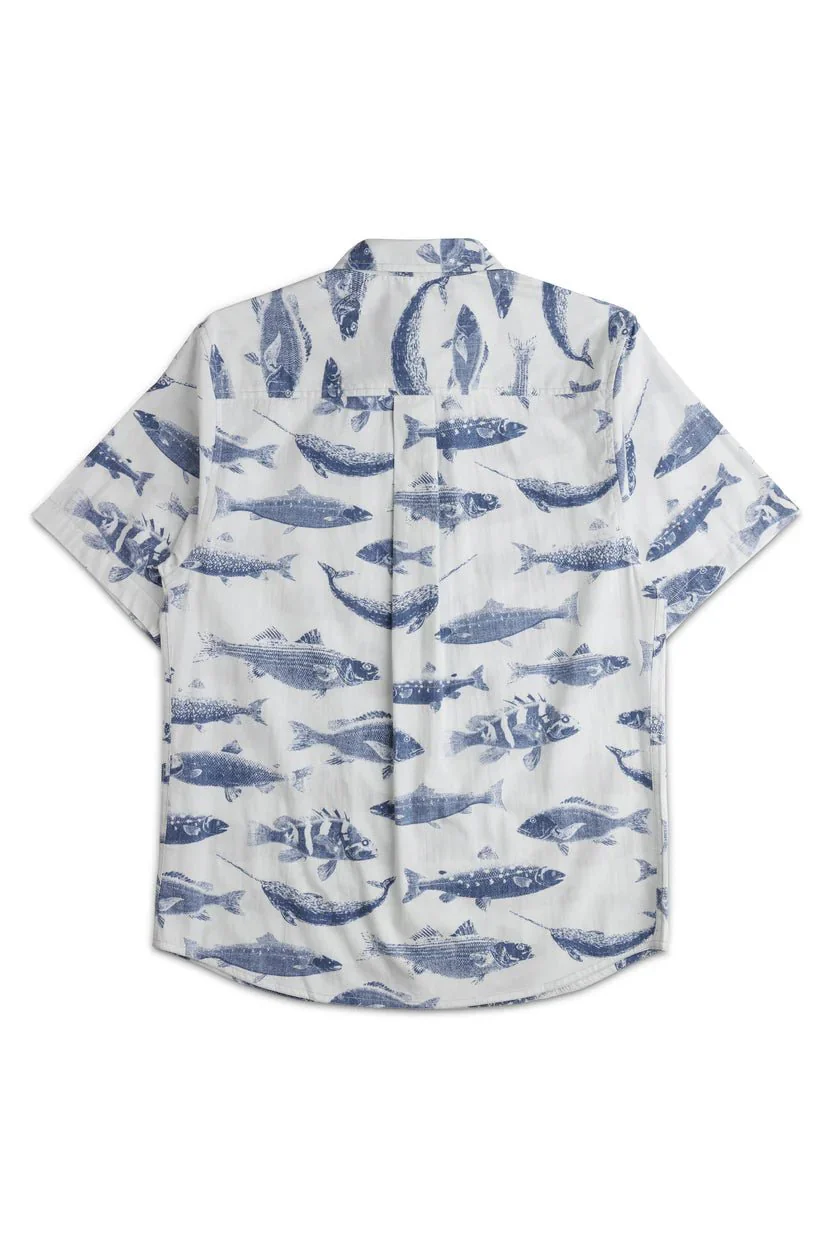 M TOPSPOT - Image 2